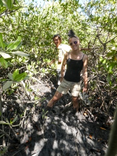 La Mangrove pour Vendaye.
